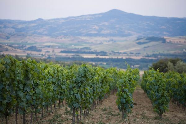 Castello di Vicarello