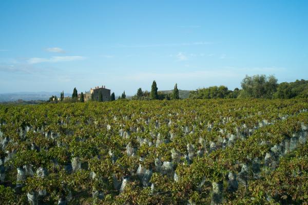 Castello di Vicarello