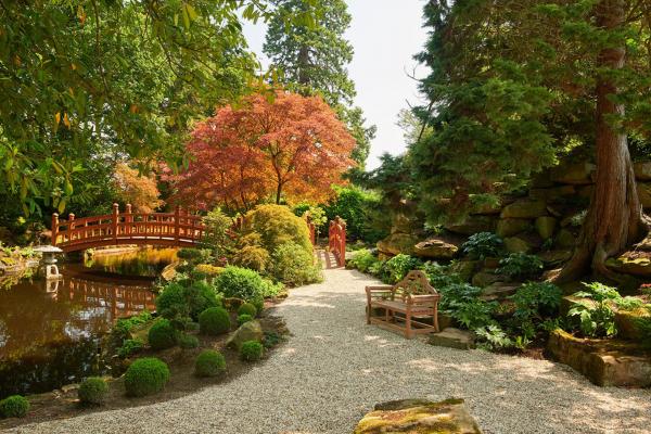 Grantley Hall Japanese Garden