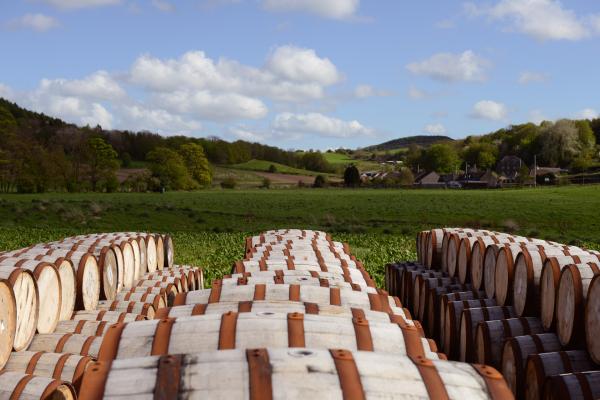 Lindores Abbey whisky distillery