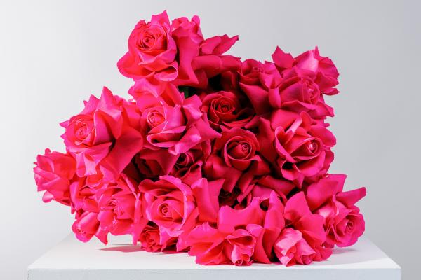 Blooming Haus rose bouquet