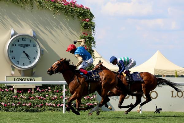 Horses racing at Royal Ascot
