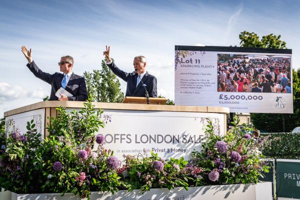 Racehorse sale Goffs Racehorse sale Goffs