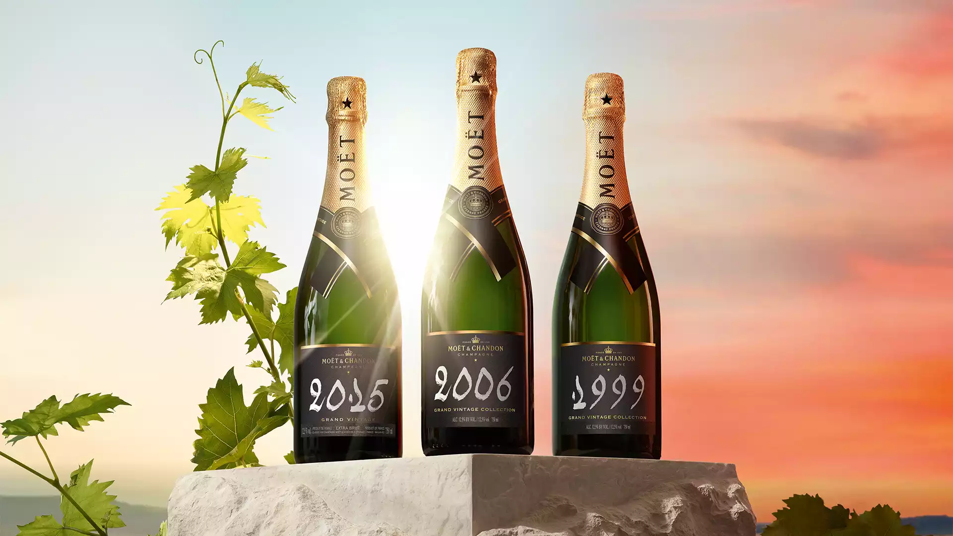Shining a light on Moët & Chandon Grand Vintage | Square Mile