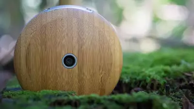 The Runcible