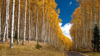 Tom Cruise's home, courtesy of Telluride Sotheby's International