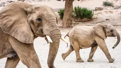 Namibia