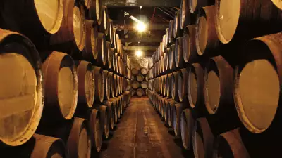 How to invest in wine