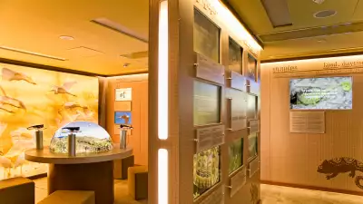 Anazoe Spa