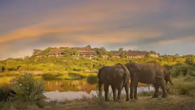 Victoria Falls Safari Lodge