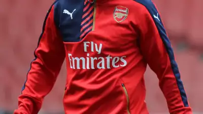 Mathieu Flamini