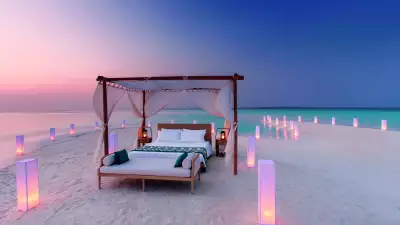 The beach holiday