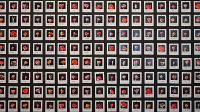 AI:more than human exhibition