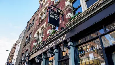 The Old Red Cow