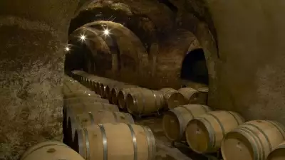 Artadi winery in Spain