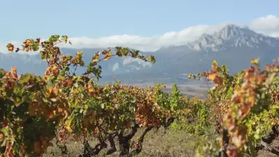 Artadi winery in Spain