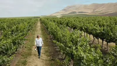 Jill Russell, winemaker, Cambria Estate Winery