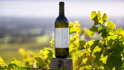 Steenberg Vineyards and Winery, South Africa