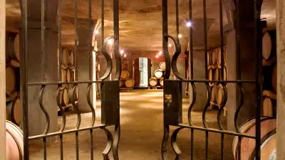 Bouchard Finlayson winery