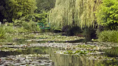 Monet's garden
