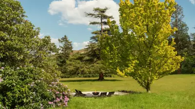 Ynyshir gardens