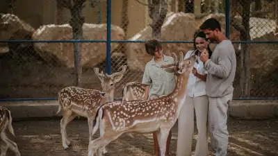 Wildlife encounters at JA Hatta Fort Hotel