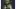 Yoda Face detail by Paul Oz