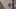 Dirty Dozen World War II military watches – Cheffins Auction