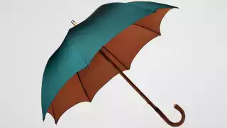 umbrella