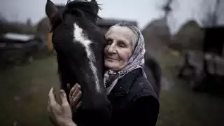 MateuszBaj_Poland_Shortlist_Open_Smile_2014