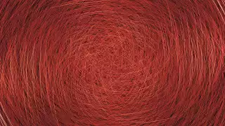 SPIRA #1, 2010