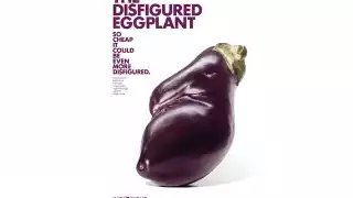 Disfigured Eggplant by Patrice de Villiers