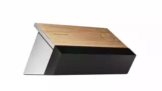 Bang & Olufsen BeoSound Moment