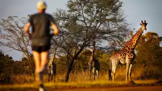 The Big Five, South Africa