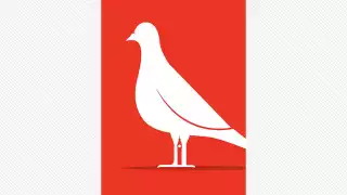Pigeon by James Benn
