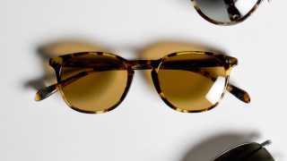 Oliver Peoples Sir Finley in tortoiseshell acetate
