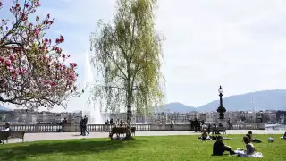 Geneva Tourism