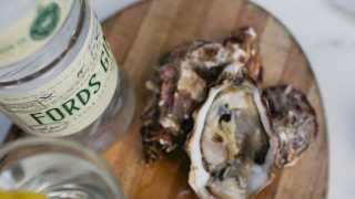 Fords Gin Martinis and Oysters