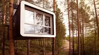 Treehotel