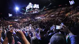 UFC 196