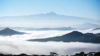 Ol Lentille, Kenya