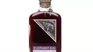 Elephant Sloe Gin