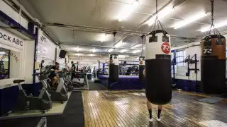 Peacock Gym