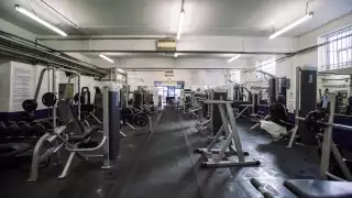Peacock Gym