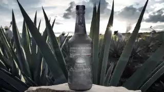 CASAMIGOS MEZCAL