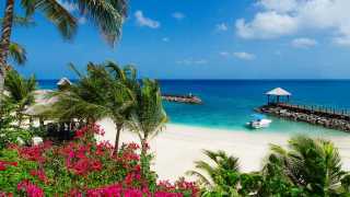 Pink Gin Beach at Sandals Grenada Resort & Spa