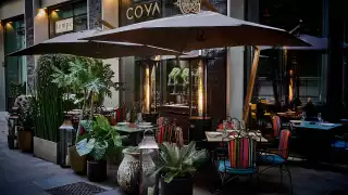 Coya pop up