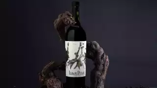 Liber Pater wine bottle