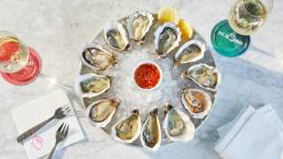 Seabird restaurant: the oysters