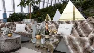 Moet & Chandon Sky Garden